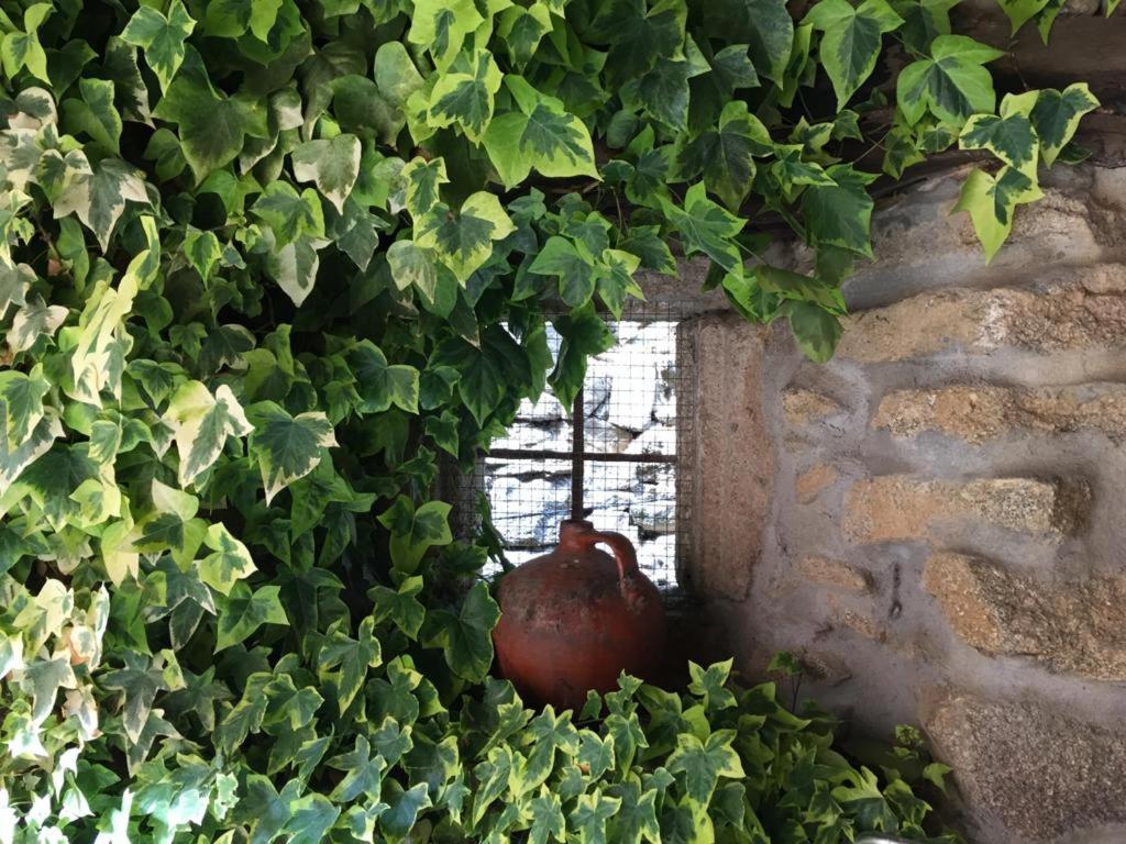 El Capricho De Ana Villa Neila de San Miguel Eksteriør bilde